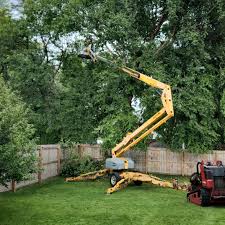 Best Aeration Services  in Sangaree, SC
